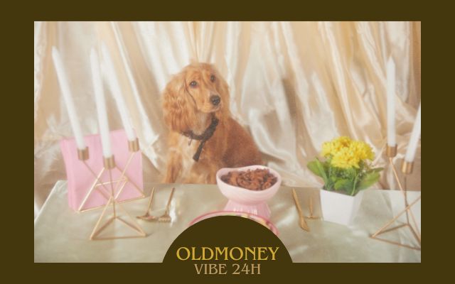 100+ Old Money Female Dog Names